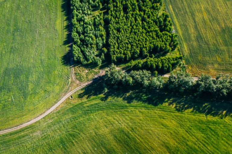 UAV Hyperspectral Mapping