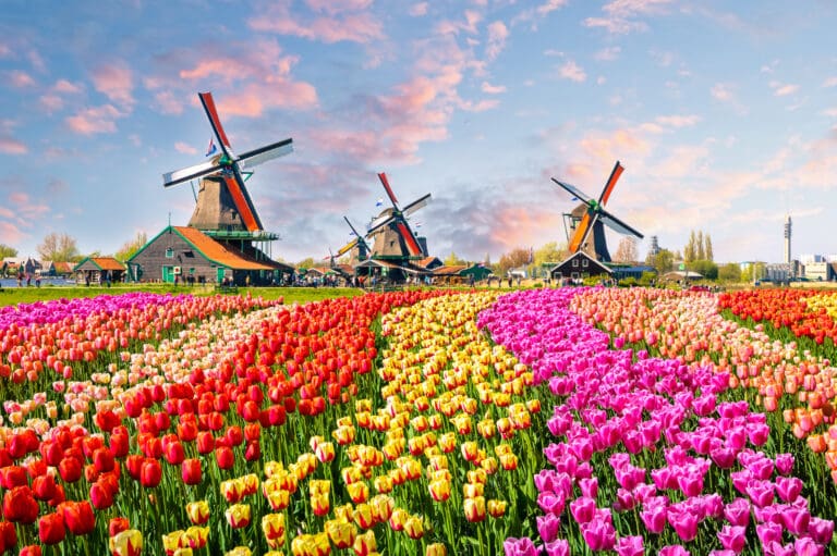 Photon Mission, Photonics distributor in the BeNeLux