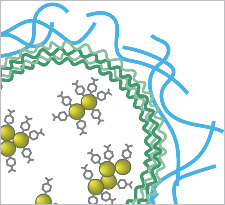 Implantable SERS Biosensors